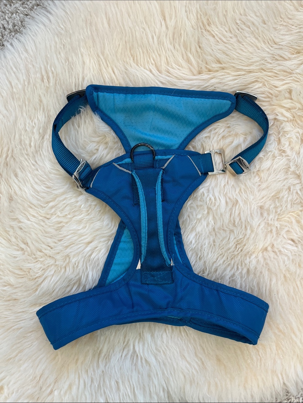 Kurgo Adjustable Teal Blue Dog Harness, Size Large